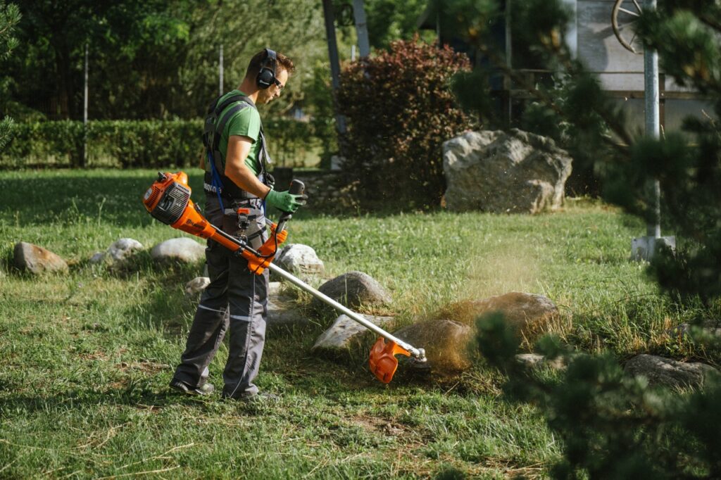 comevirt. de la inginer, la grădinar. sibianul care a pus pe picioare o afacere de mii de euro