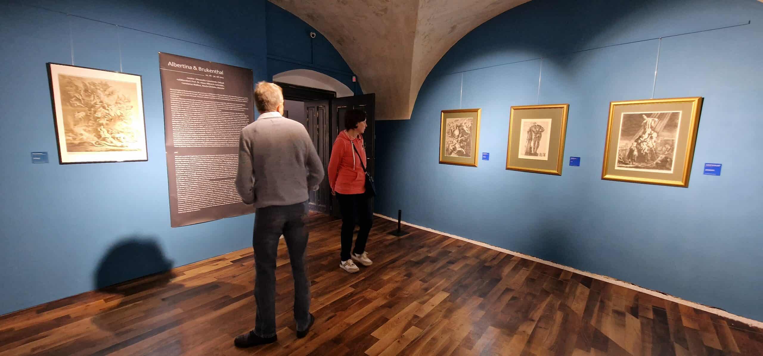 ghidul sibianului curios: tablouri expuse in premieră la muzeul brukenthal. lucrări de michelangelo şi leonardo da vinci printre ele (video foto)