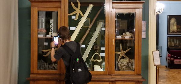 ghidul sibianului curios: cel mai mare mădular se poate vedea la muzeul brukenthal (video)