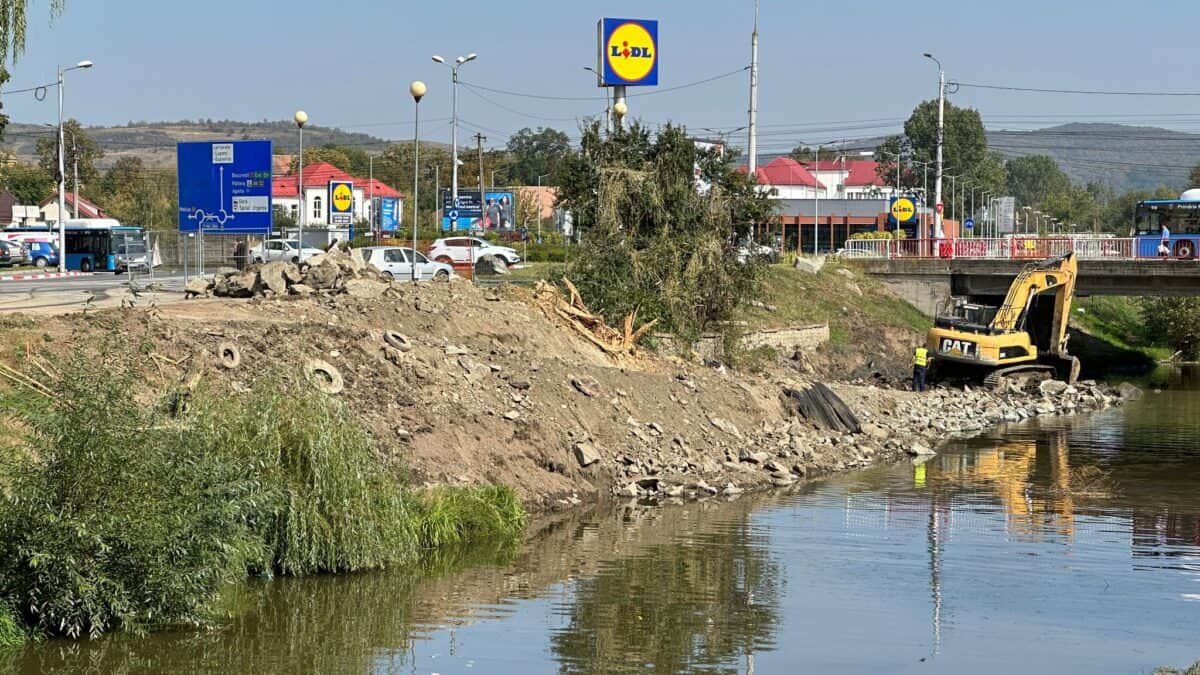 Conexiune între pista de biciclete din cartierul Reșița și cea de pe malul Cibinului. Trece pe sub podul de pe Rusciorului