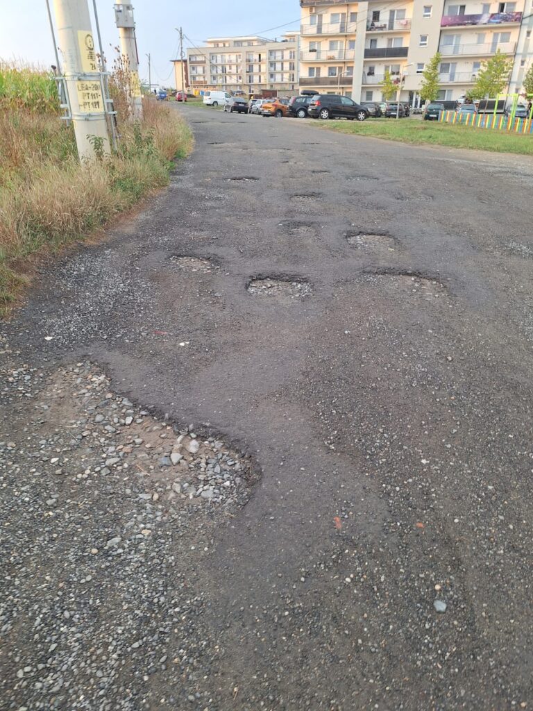 petiție a locuitorilor de pe ogorului. cer asfaltarea străzii și amenajarea trotuarelor (foto)