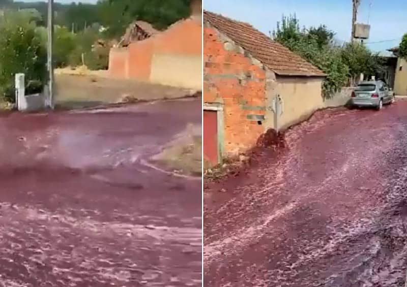 sat inundat cu vin roșu. milioane de litrii au ajuns pe strada (video)