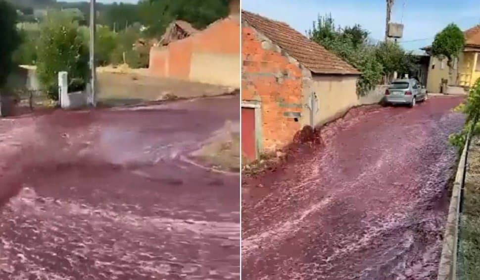sat inundat cu vin roșu. milioane de litrii au ajuns pe strada (video)