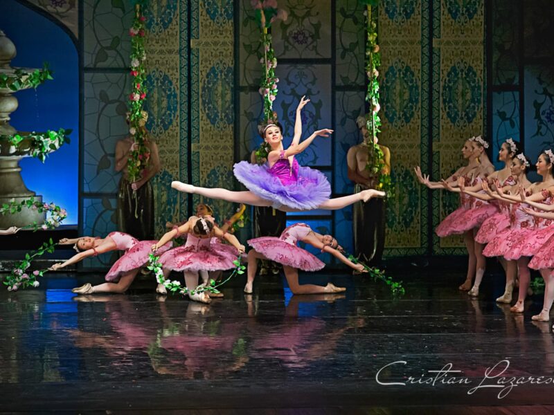 „baiadera” revine la teatrul de balet sibiu, după cinci ani de la premieră