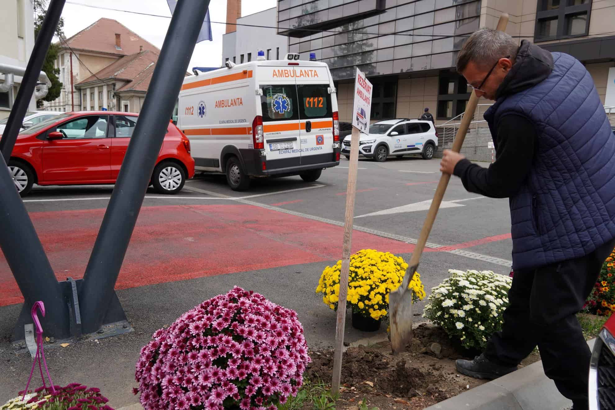 povestea frapanta a unui florar din sibiu. florin: “florile mi-au salvat viața” (foto)
