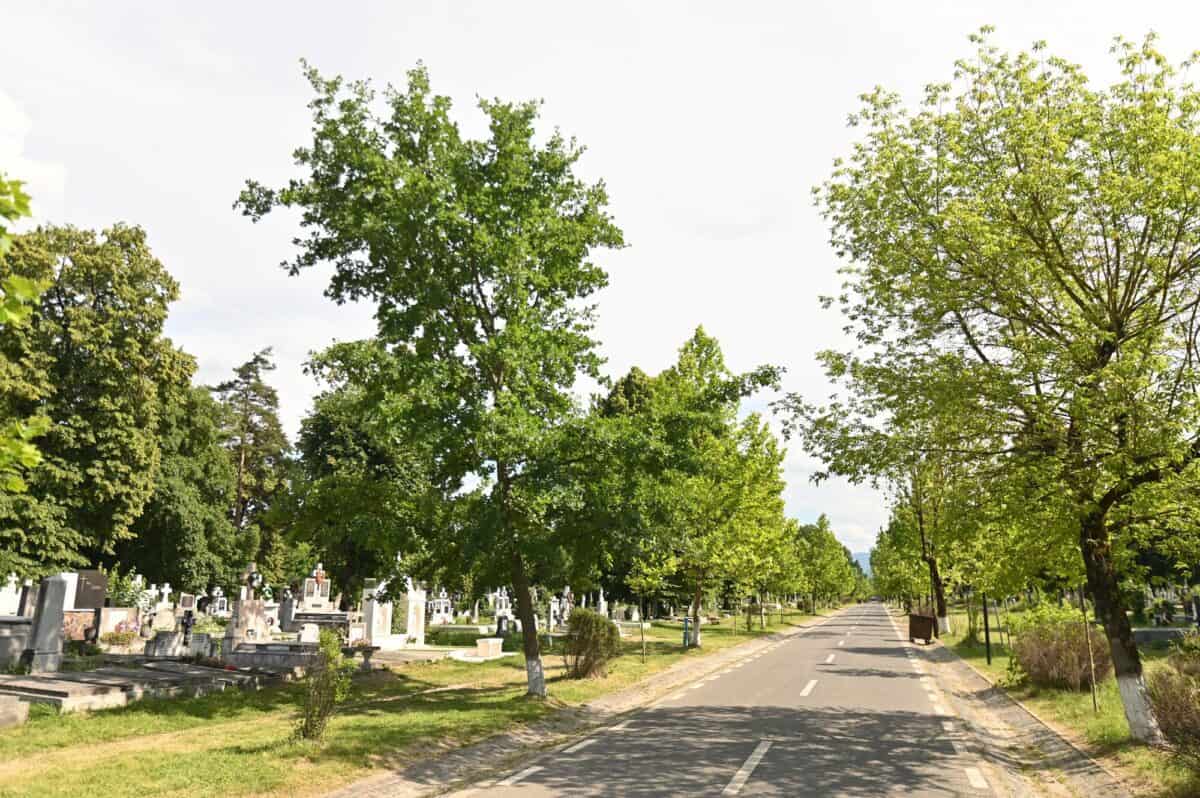 primăria sibiu continuă investițiile în cimitirul municipal. alte șase alei vor fi reabilitate
