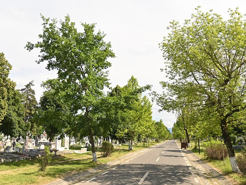 primăria sibiu continuă investițiile în cimitirul municipal. alte șase alei vor fi reabilitate