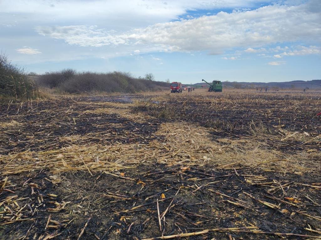 Trei hectare de teren afectate în urma unui incendiu în Sibiu