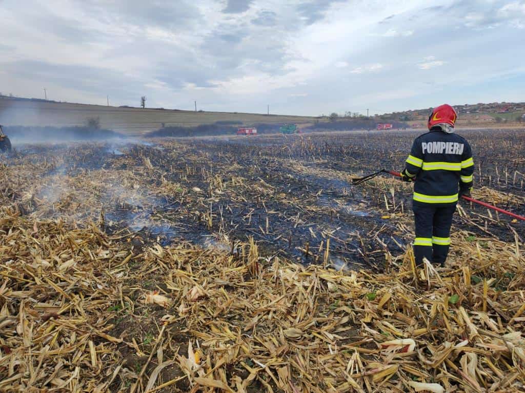 Trei hectare de teren afectate în urma unui incendiu în Sibiu