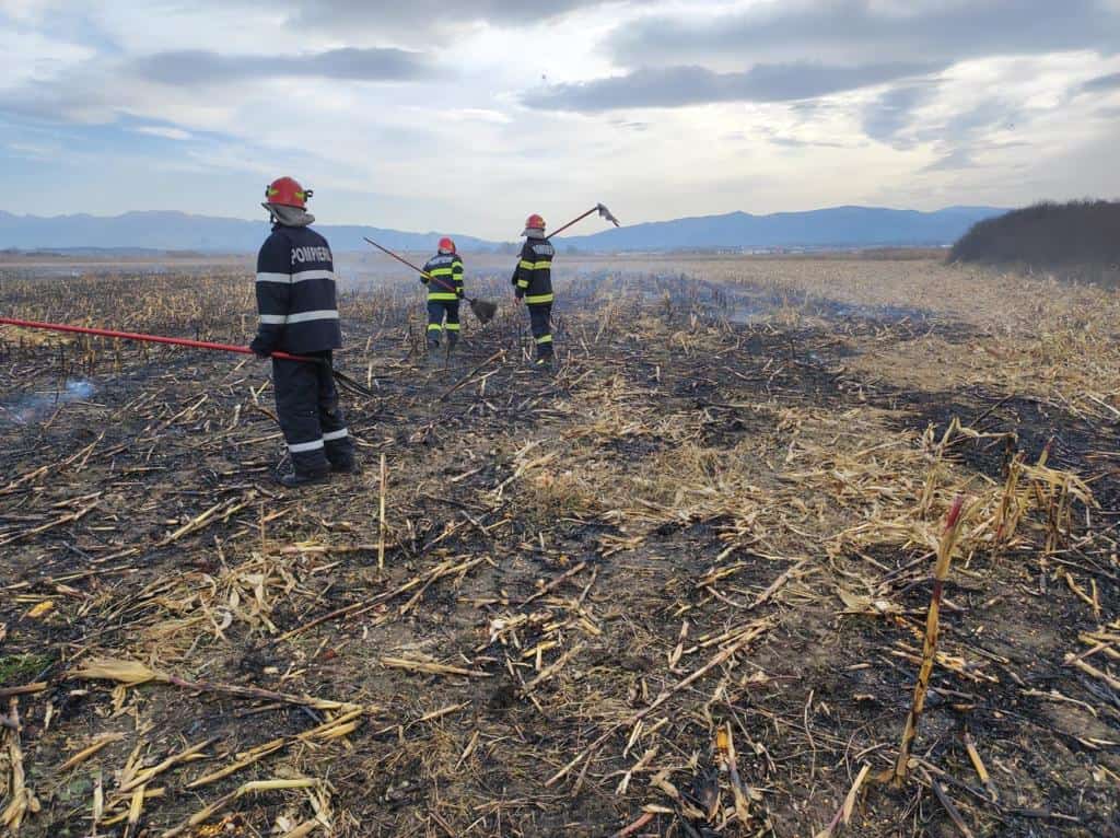 Trei hectare de teren afectate în urma unui incendiu în Sibiu