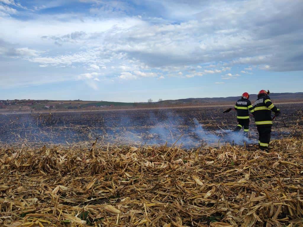 Trei hectare de teren afectate în urma unui incendiu în Sibiu