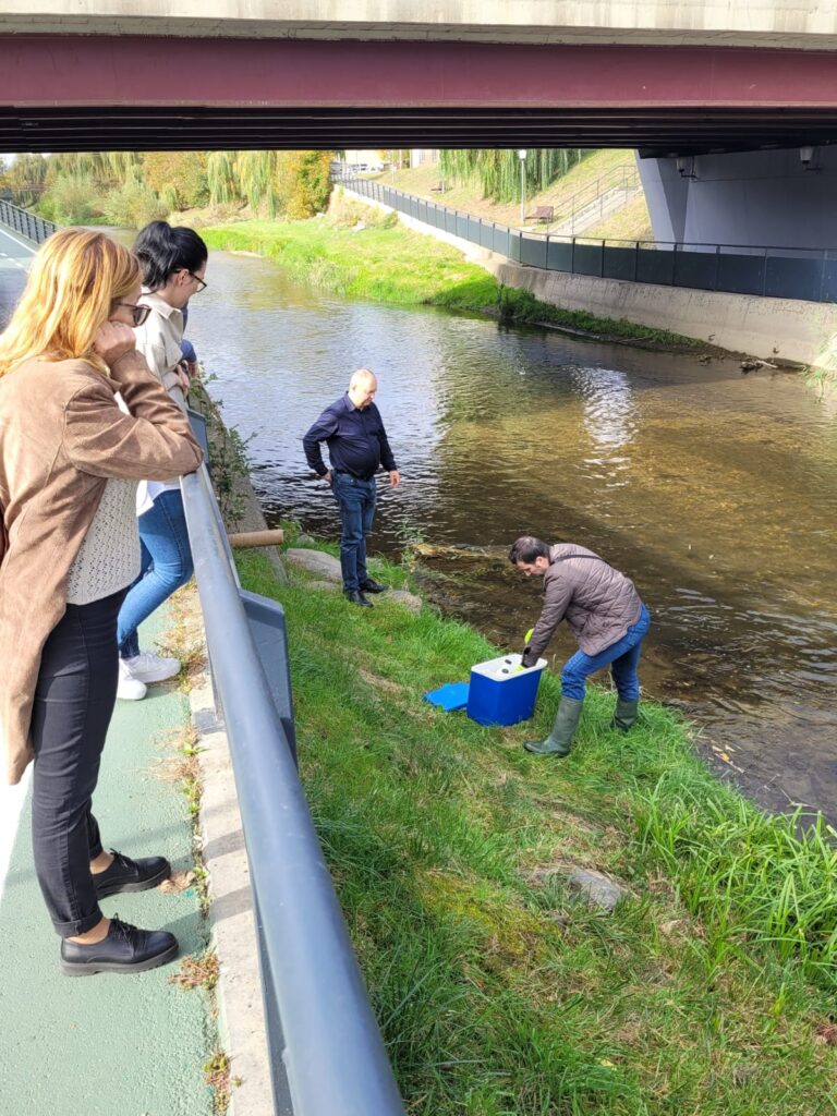 Râul Cibin, poluat cu carburanți de la o benzinărie de pe strada Malului. Apele Române confirmă situația (video foto)