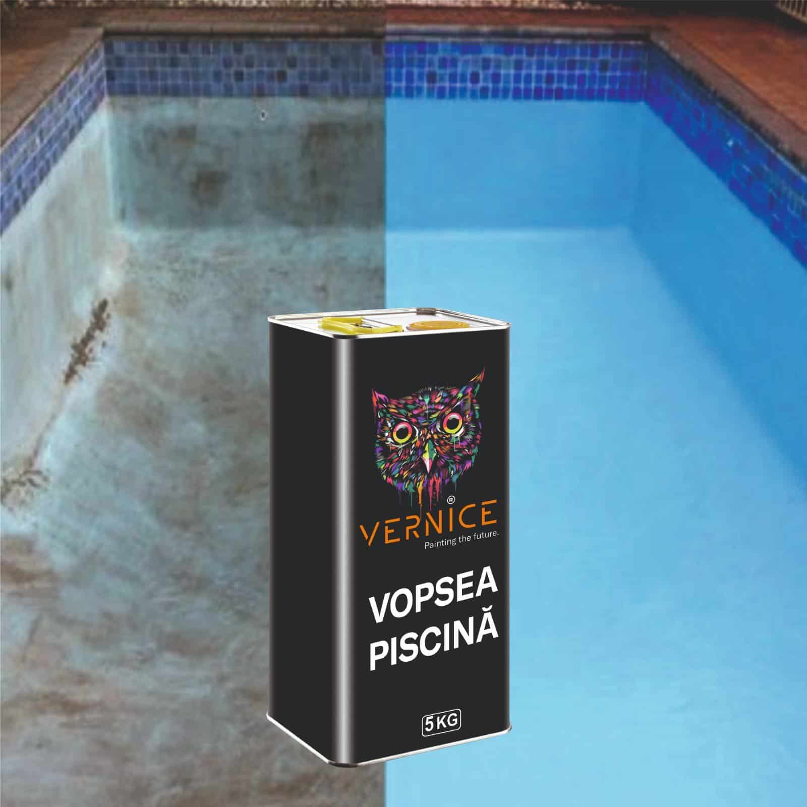 vernice este societatea care va colora viitorul transilvaniei!