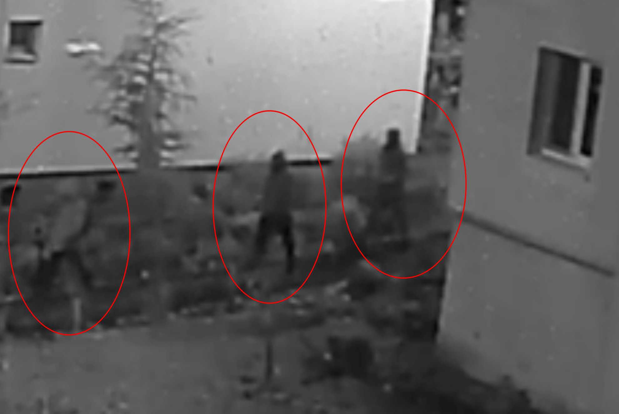 filmare cu tâlharii care l-au omorât pe adrian kreiner. după crimă, s-au plimbat pe străzi în vasile aaron (video)
