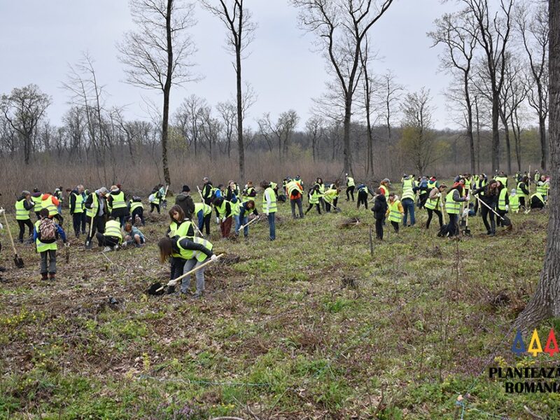 peste 3.000 de copaci vor fi plantați sâmbătă în zona tineretului. coordonator: „vrem să facem o pădure urbană”