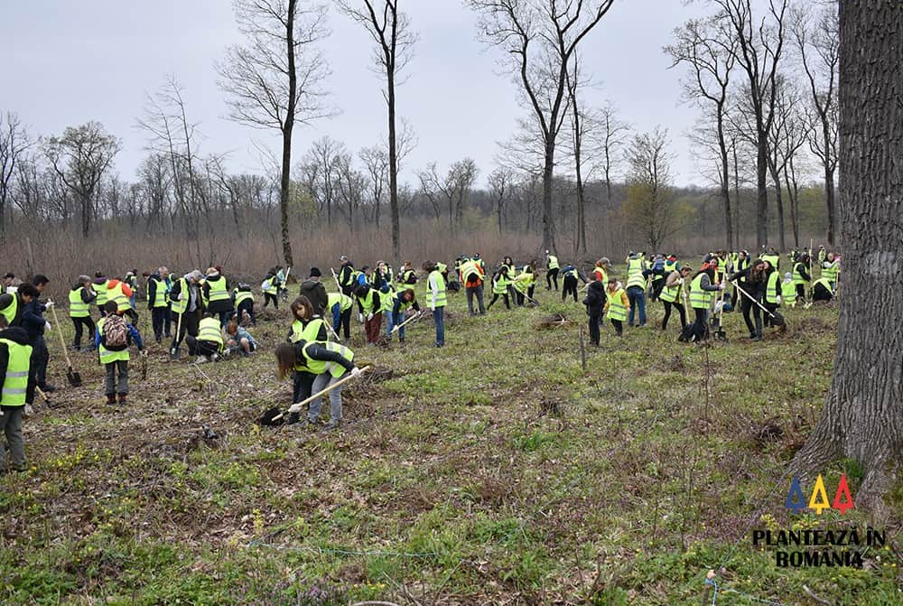 Peste 3.000 de copaci vor fi plantați sâmbătă în zona Tineretului. Coordonator: „Vrem să facem o pădure urbană”