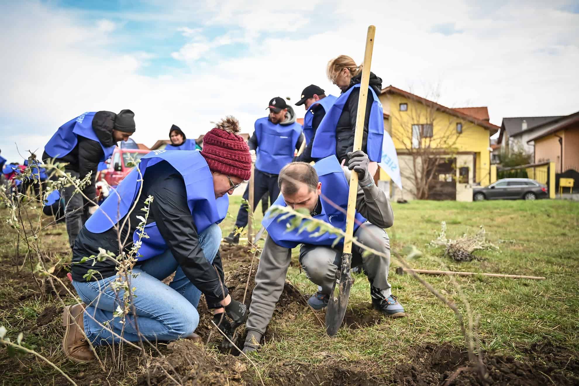 aproape 4.000 de arbori, plantați în weekend în cartierul tineretului. au participat sute de voluntari (foto)