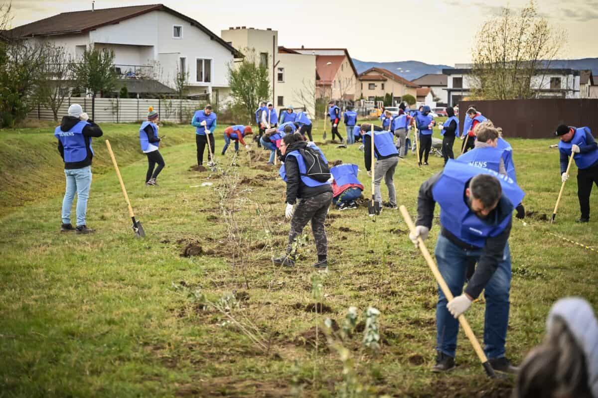 aproape 4.000 de arbori, plantați în weekend în cartierul tineretului. au participat sute de voluntari (foto)