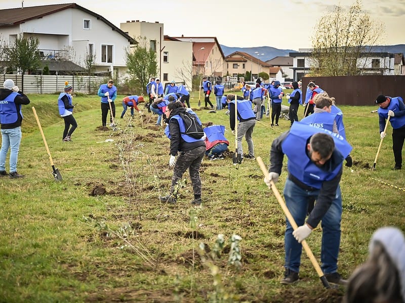 aproape 4.000 de arbori, plantați în weekend în cartierul tineretului. au participat sute de voluntari (foto)