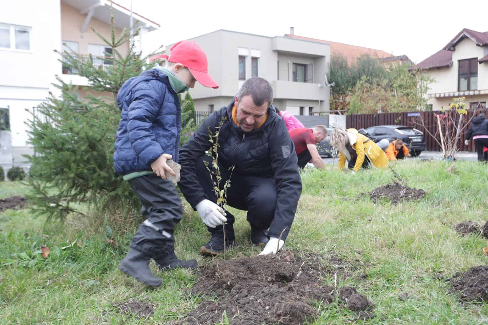 aproape 4.000 de arbori, plantați în weekend în cartierul tineretului. au participat sute de voluntari (foto)