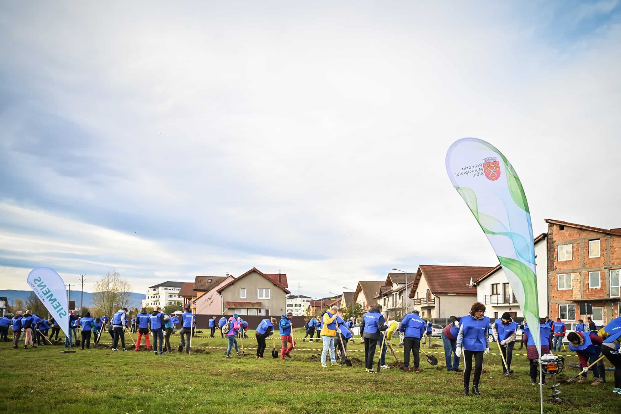 aproape 4.000 de arbori, plantați în weekend în cartierul tineretului. au participat sute de voluntari (foto)