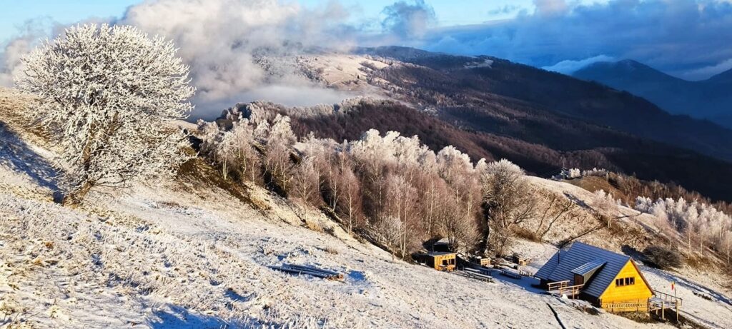 recomandări de timp liber în ultimul weekend din 2023, la sibiu. concertul de anul nou de la filarmonică și spectacolul din piața mare, principalele atracții