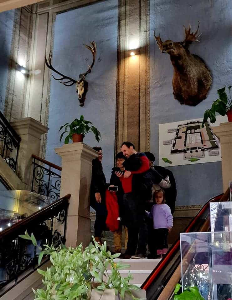 sute de sibieni au vizitat gratuit muzeul brukenthal (foto)