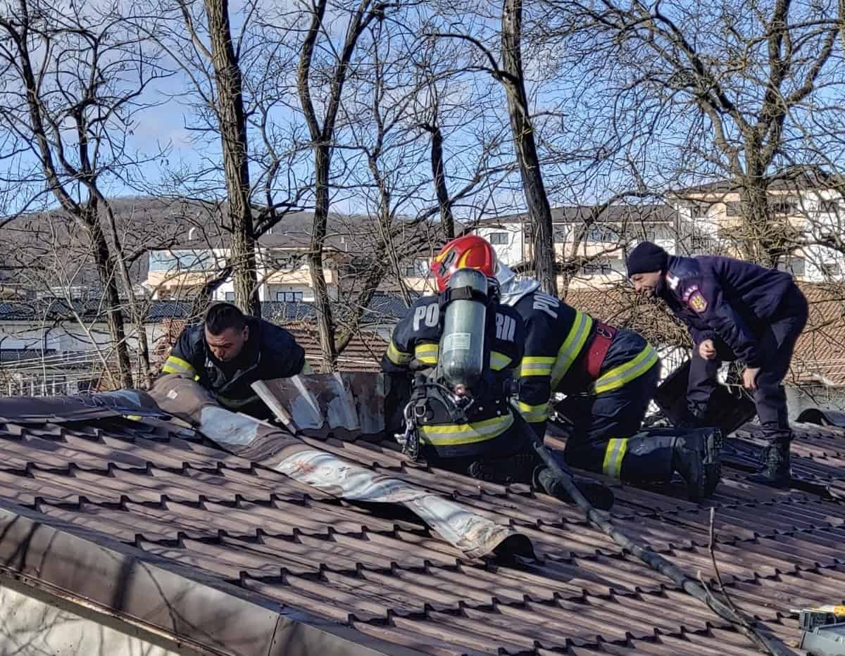 incendiu la zoo în vâlcea. animelele evacuate de urgență (foto)