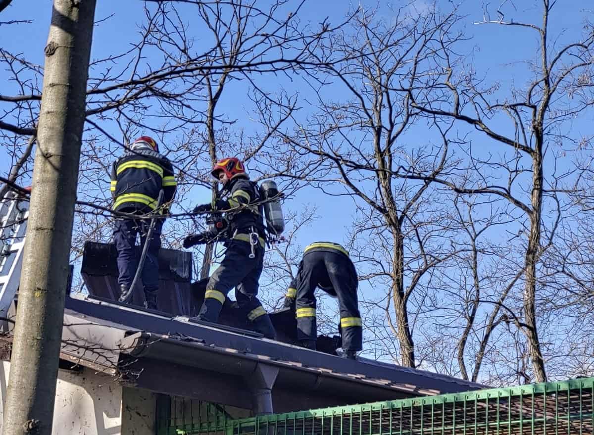 incendiu la zoo în vâlcea. animelele evacuate de urgență (foto)