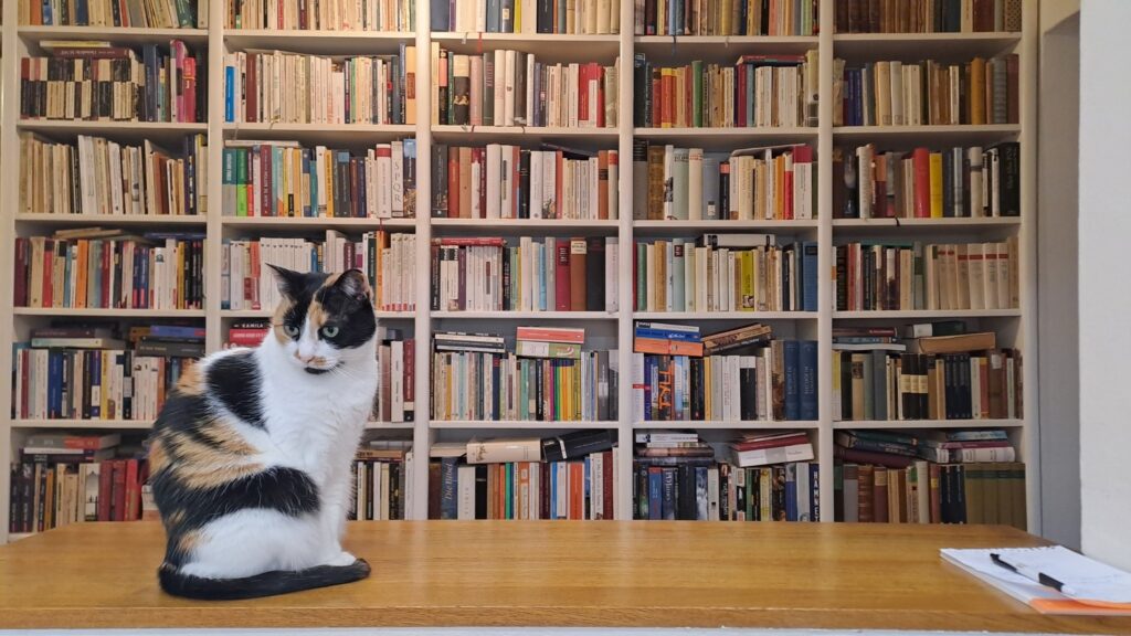 cum arată bibliotecile de acasă ale sibienilor. pozele postate au strâns mii de aprecieri (foto)