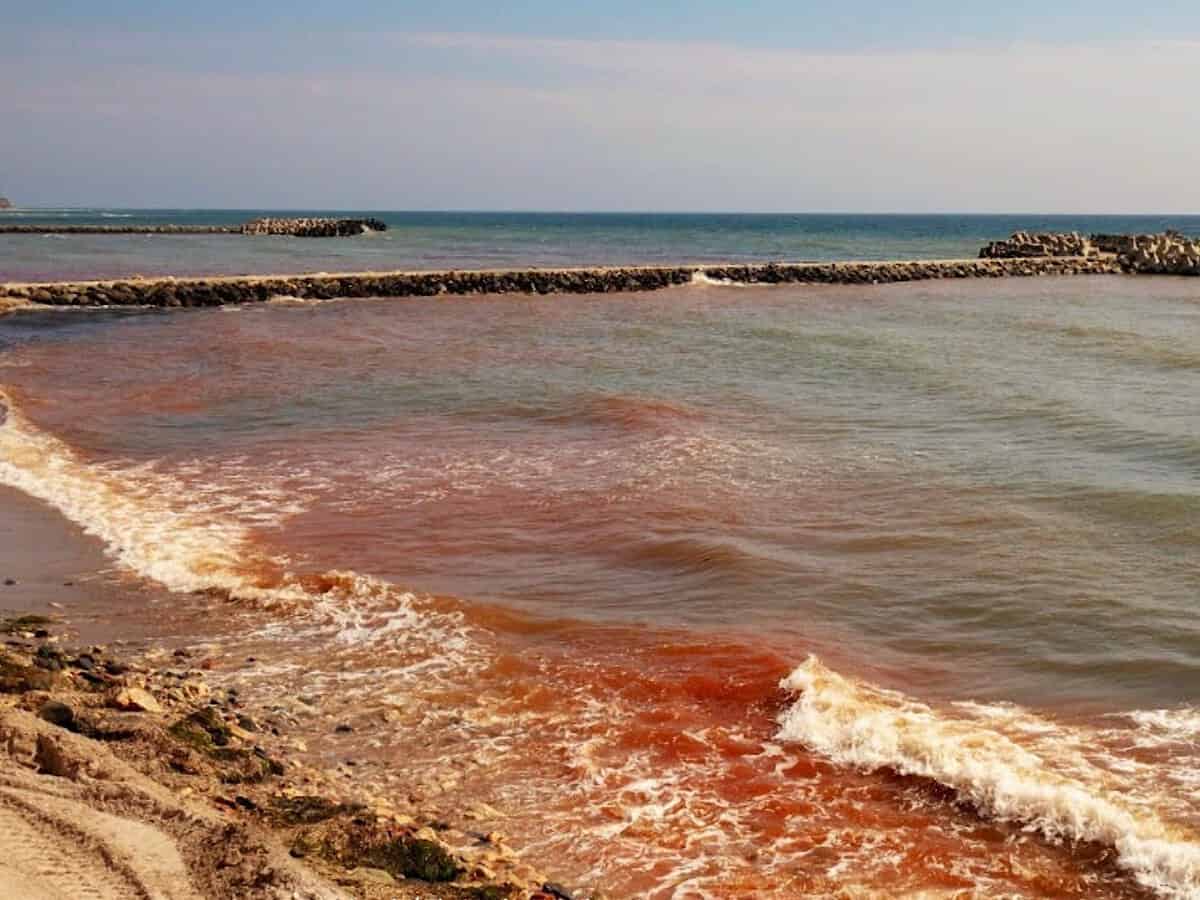 valuri fosforescente în marea neagră și apă roșie. cercetătorii spun ca nu sunt motive de îngrijorare