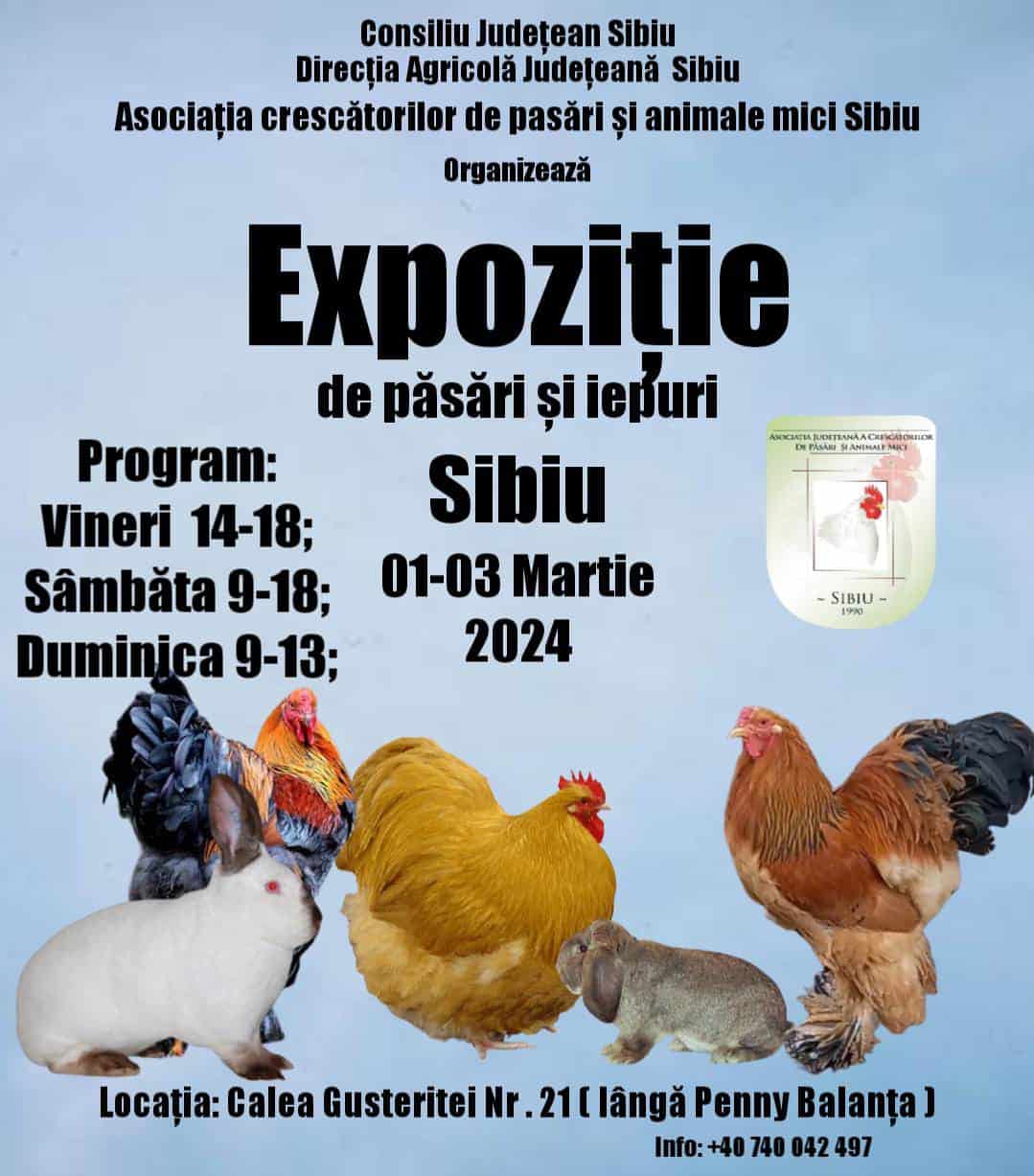 Expoziție de păsări și iepuri la Sibiu. Cele mai frumoase exemplare pot fi admirate la începutul lunii martie