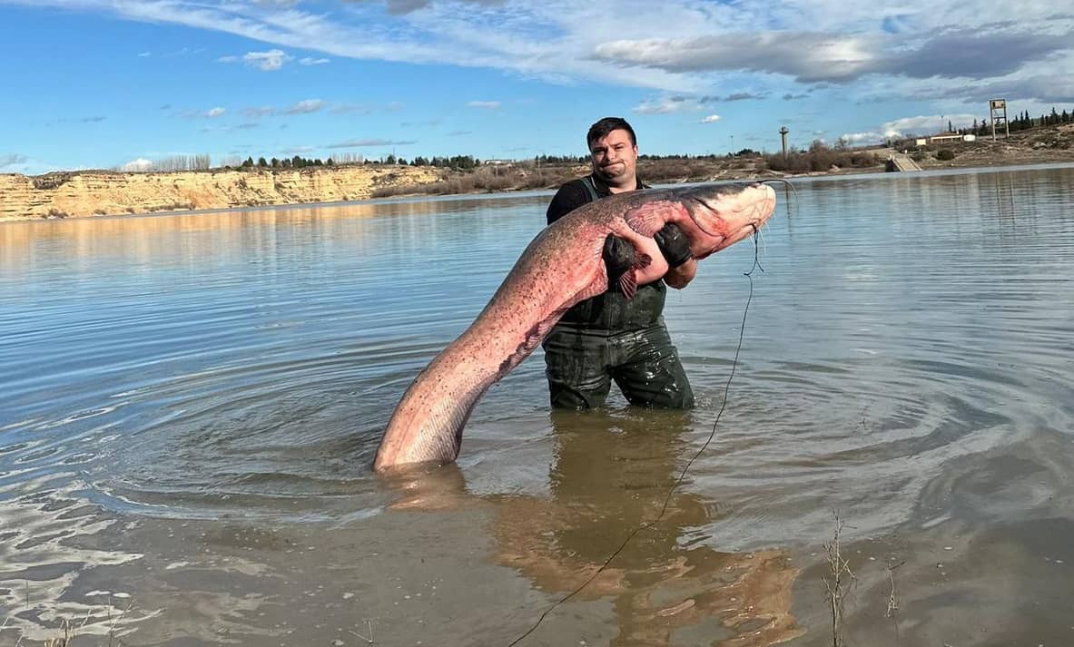un sibian stabilit în austria prinde pești uriași, de peste 80 de kilograme. marius: „este un sport costisitor, dar merită” (foto)