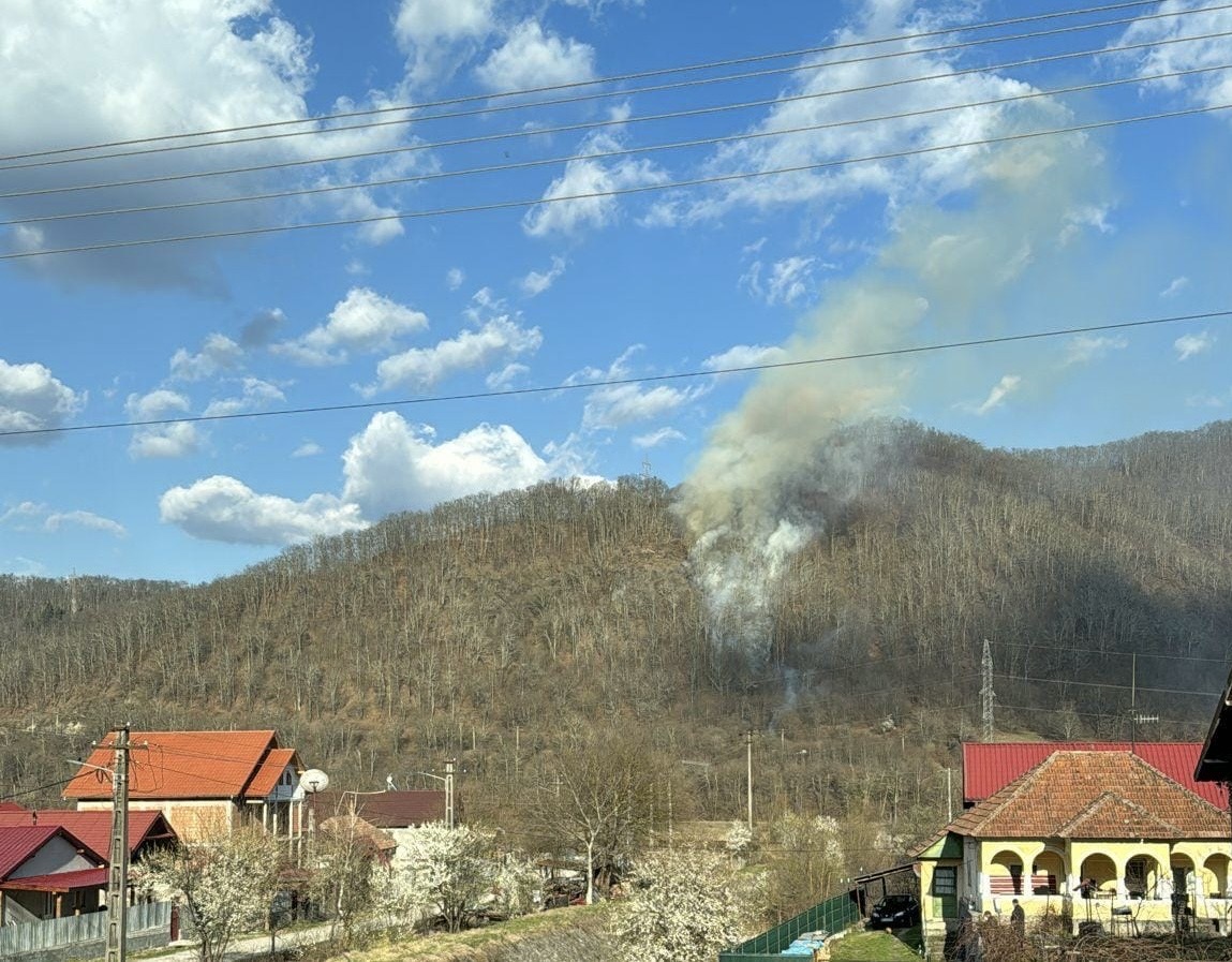 incendiu de vegetație pe valea oltului. arde pădurea în zona brezoi (foto)