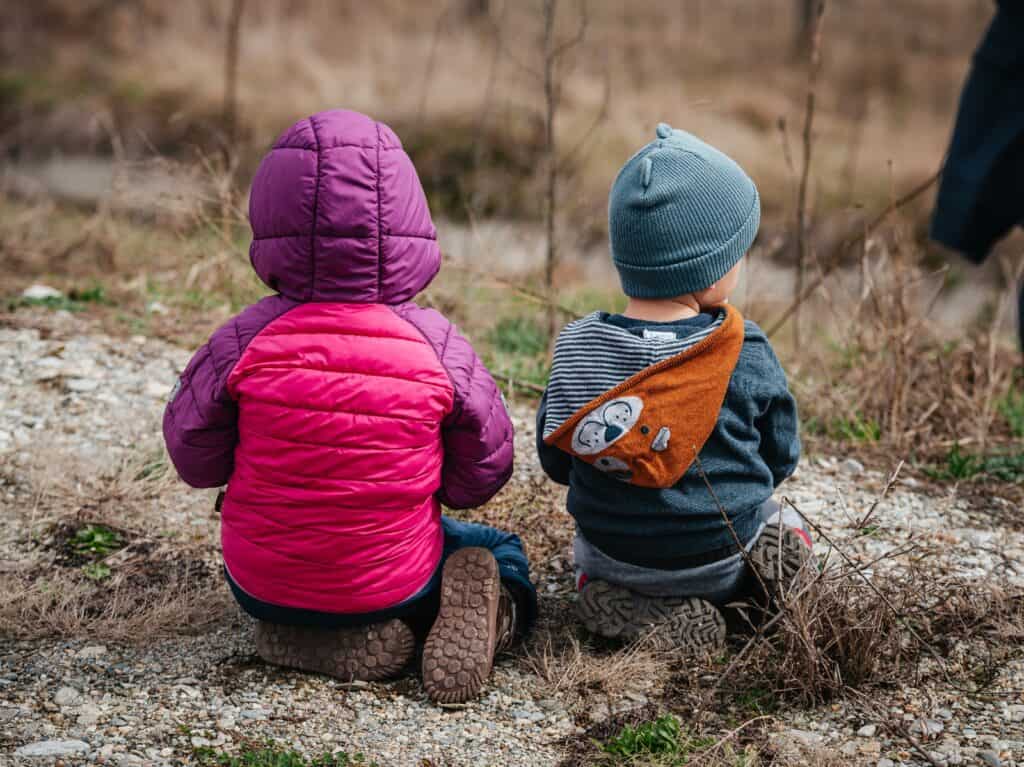 birdwatching-ul prinde teren în județul sibiu. anii drumeției invită turiștii în excursii de observare a păsărilor