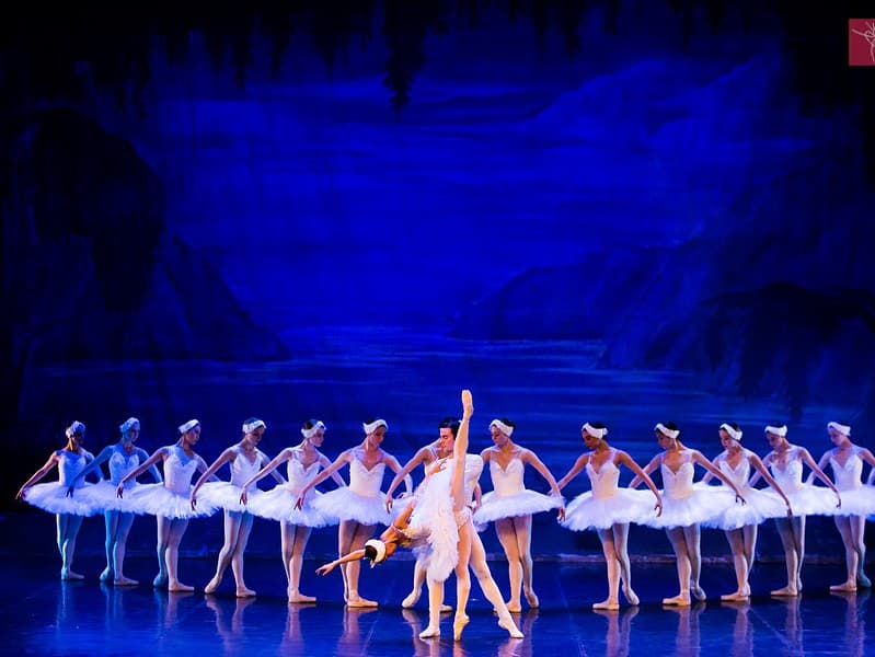 „lacul lebedelor” revine pe scena teatrului de balet sibiu după patru ani