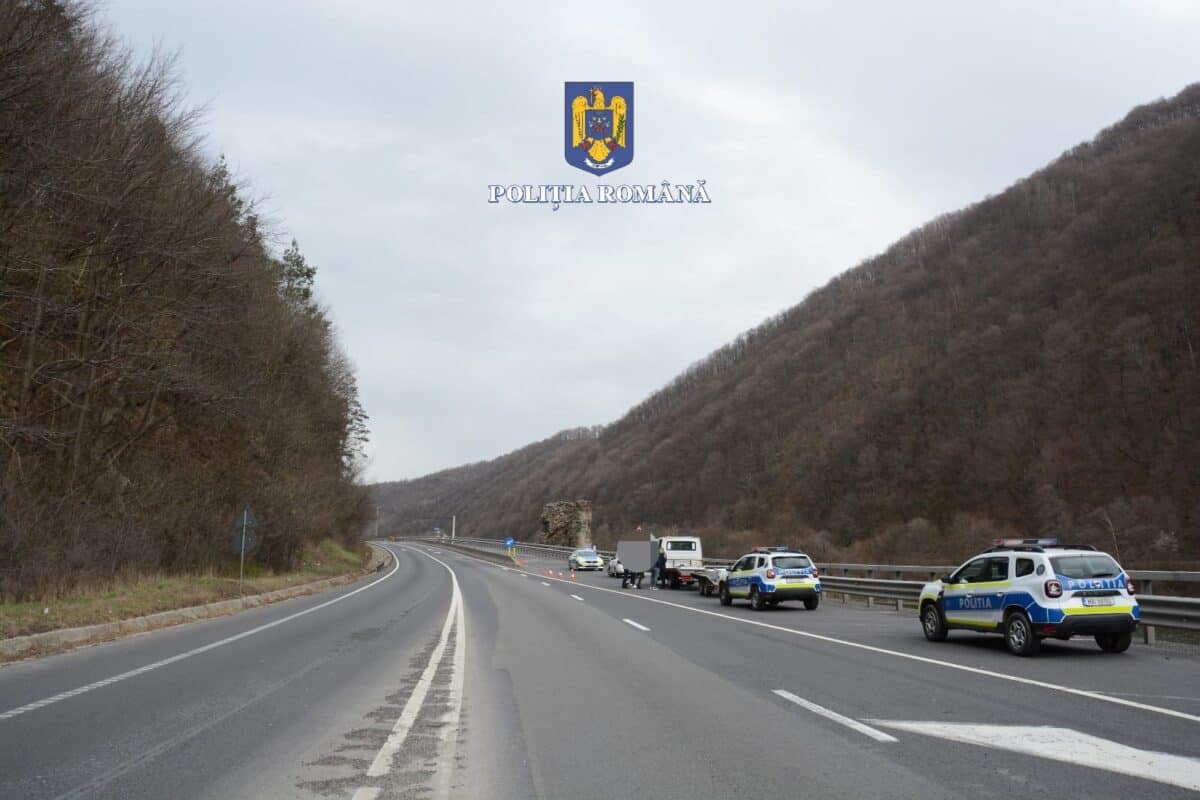 Șofer bulgar prins cu țigări de contrabandă pe Valea Oltului. Politiștii au găsit aproape 50.000 de țigarete (foto)