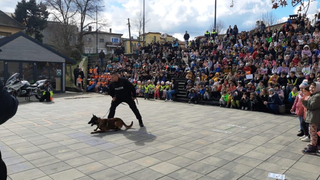 invazie de copii la ziua poliției în piața habermann. câinii ciobănești, atracția principală pentru cei mici (video foto)