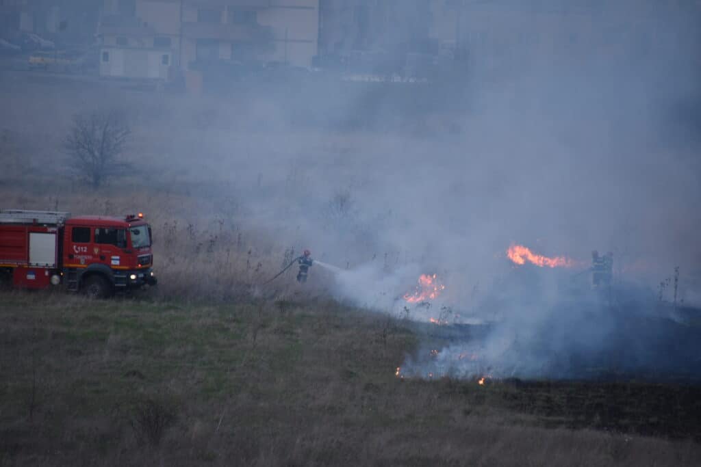 turnișor: incendiu de vegetație lichidat de pompieri în 20 de minute. video și foto de la cititori