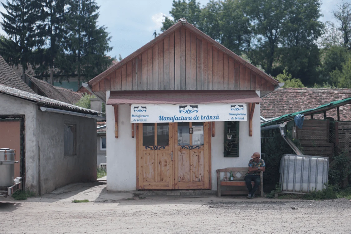 satul din românia în care un sas face brânză elevețiană. este la 80 de kilometri de sibiu
