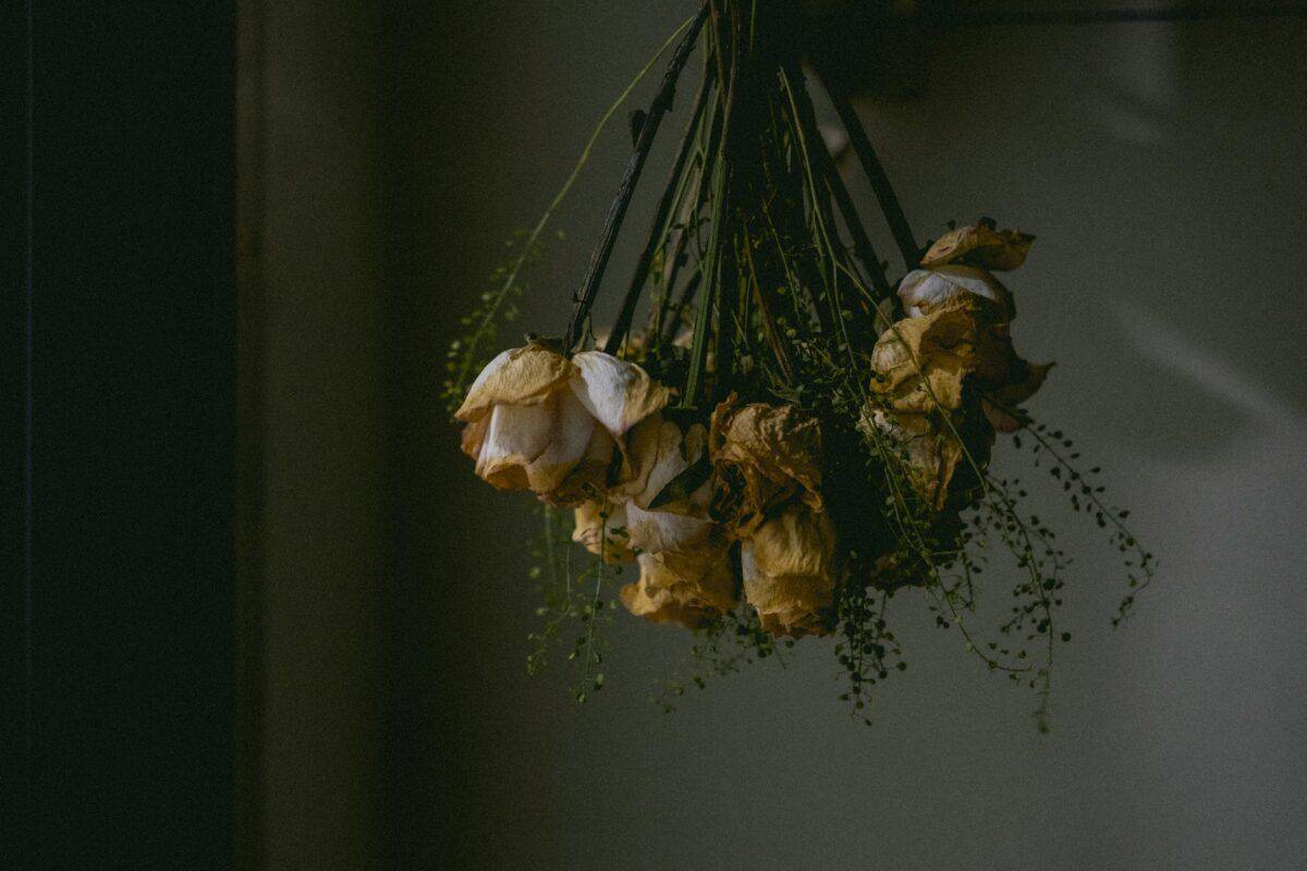 dry flowers hanging by wall