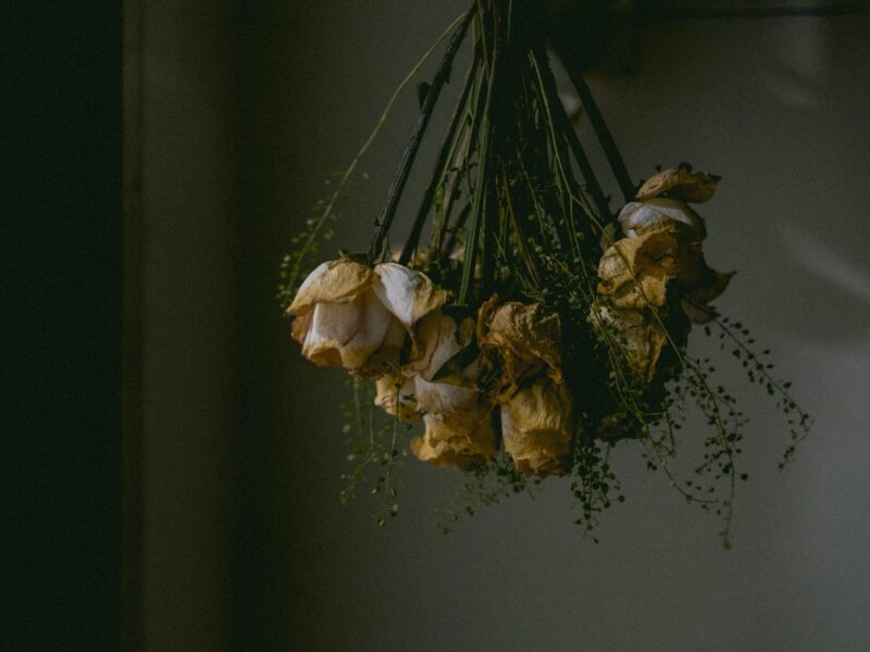 dry flowers hanging by wall