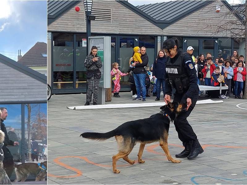 poliția sibiu caută iubitori de câini. inscrierile se fac până pe 3 aprilie