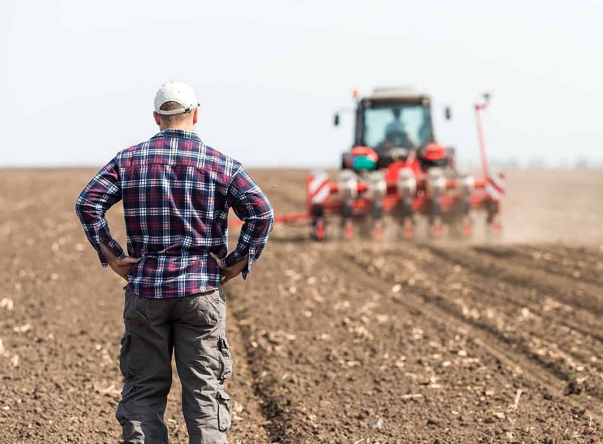 fermierii români care nu depun cererile până la 7 iunie vor rămâne fără subvenții pentru acest an