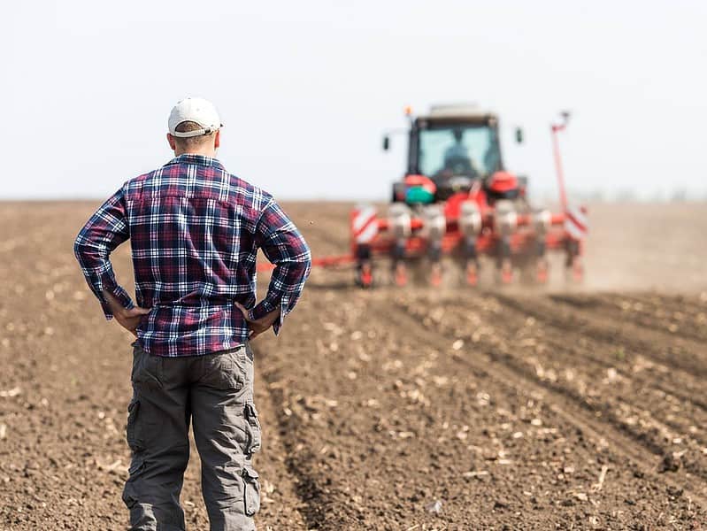 fermierii români care nu depun cererile până la 7 iunie vor rămâne fără subvenții pentru acest an