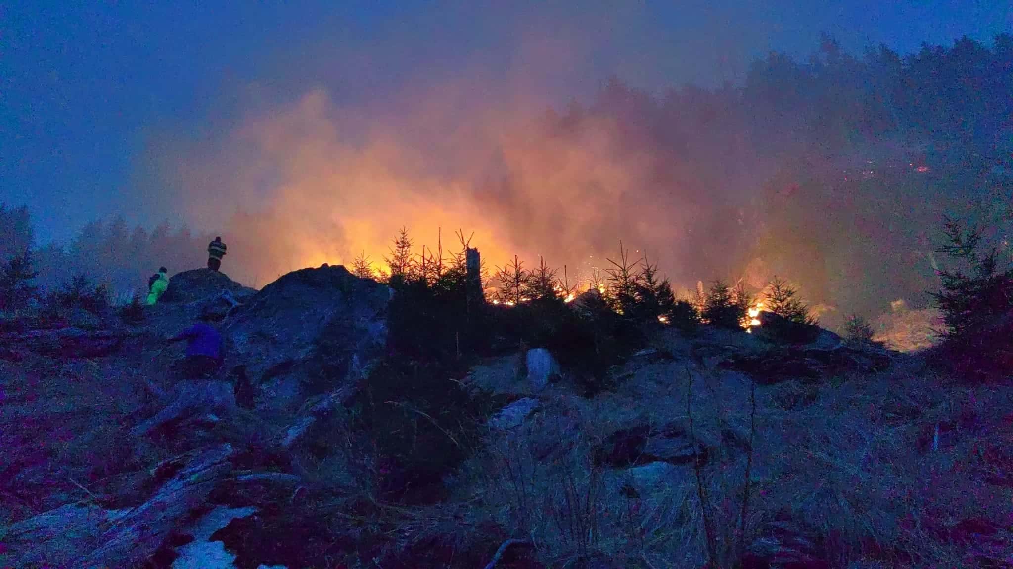 arde pădurea în munții făgăraș. misiune aproape imposibilă pentru pompieri (video)