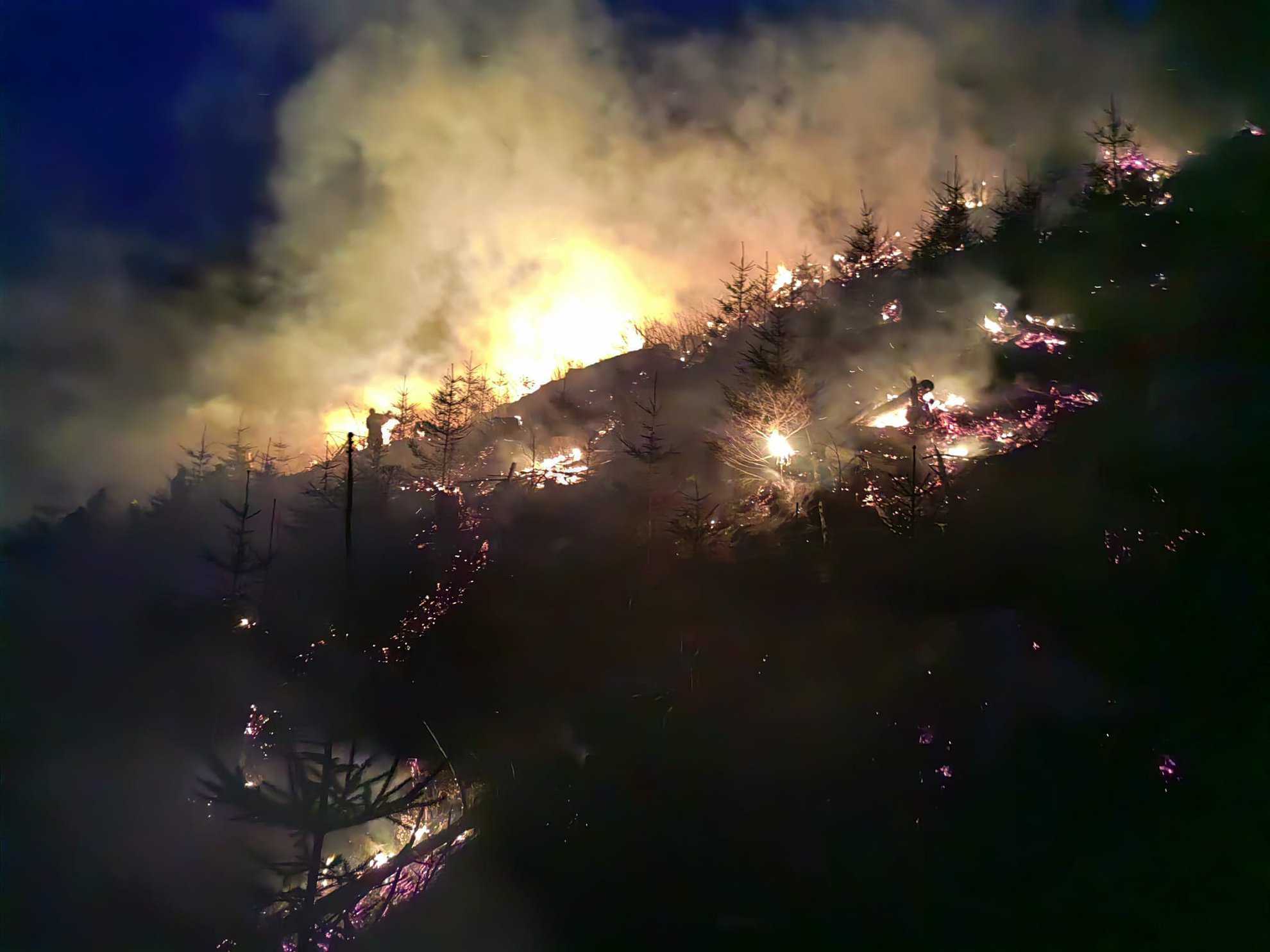 arde pădurea în munții făgăraș. misiune aproape imposibilă pentru pompieri (video)