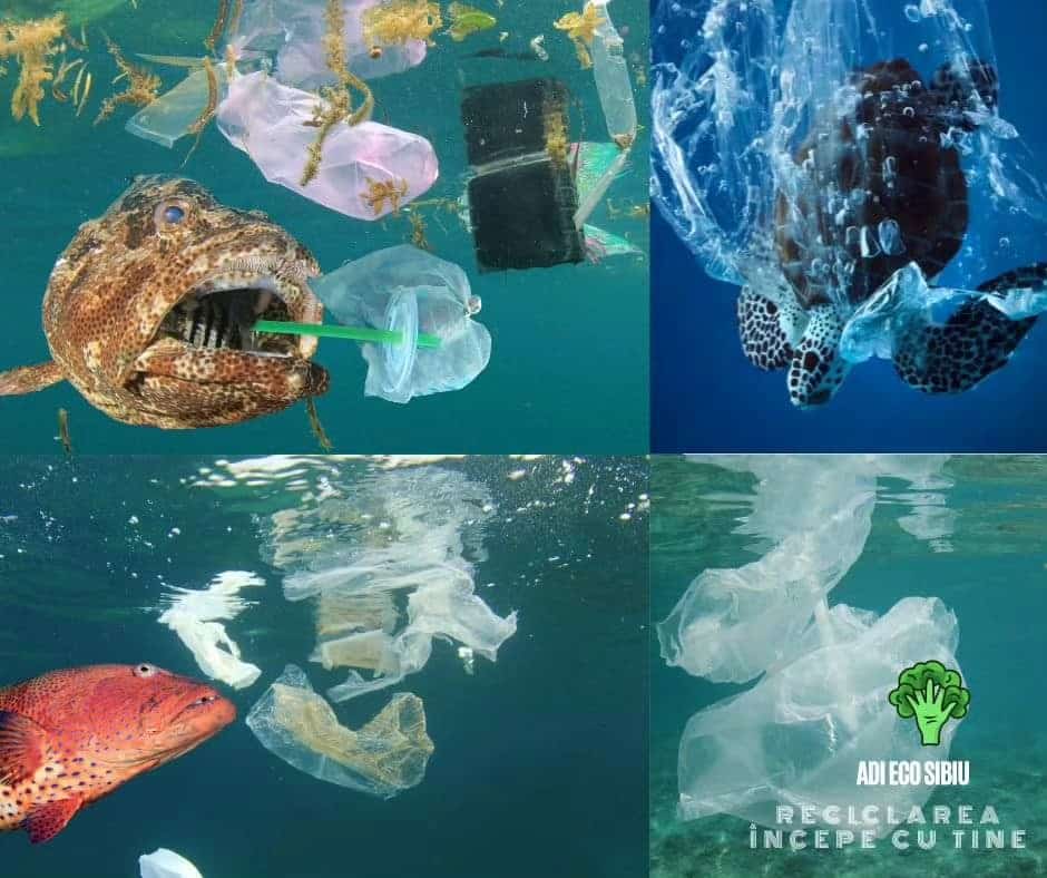 reciclarea plasticului: ce tipuri putem recicla și idei creative pentru refolosire