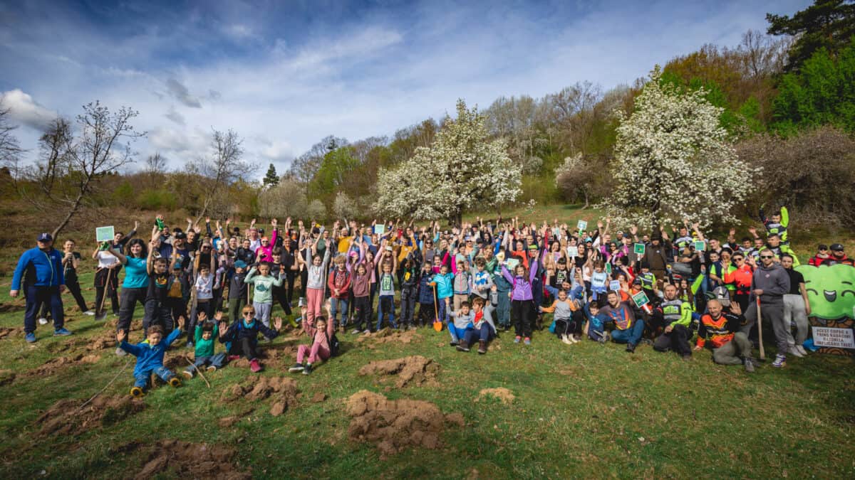 peste 1400 de puieți plantați în pădurea cisnădioara. au participat 250 de voluntari (foto)