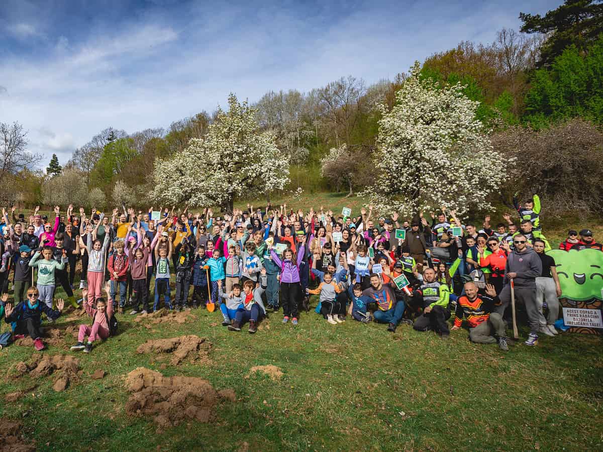 Peste 1400 de puieți plantați în Pădurea Cisnădioara. Au participat 250 de voluntari (foto)